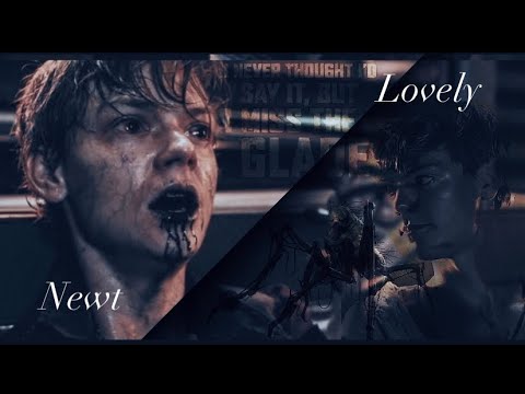 |•Newt•| Lovely