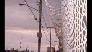 LONEWOLF- Cancerslug