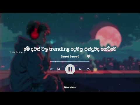 Sollu thamizhan🙇‍♂️ || සොල්ලු තමිළ || Somberi || Slowed+Reverb || Silent vibezz || 003 ||