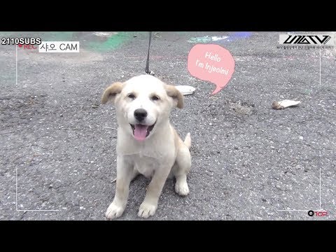 [ENG SUB] U10TV EP.159 - XIAO♡INJEOLMI Our Happy Time