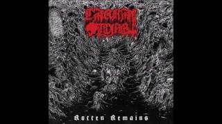 CARNAL TOMB - Undead Dread