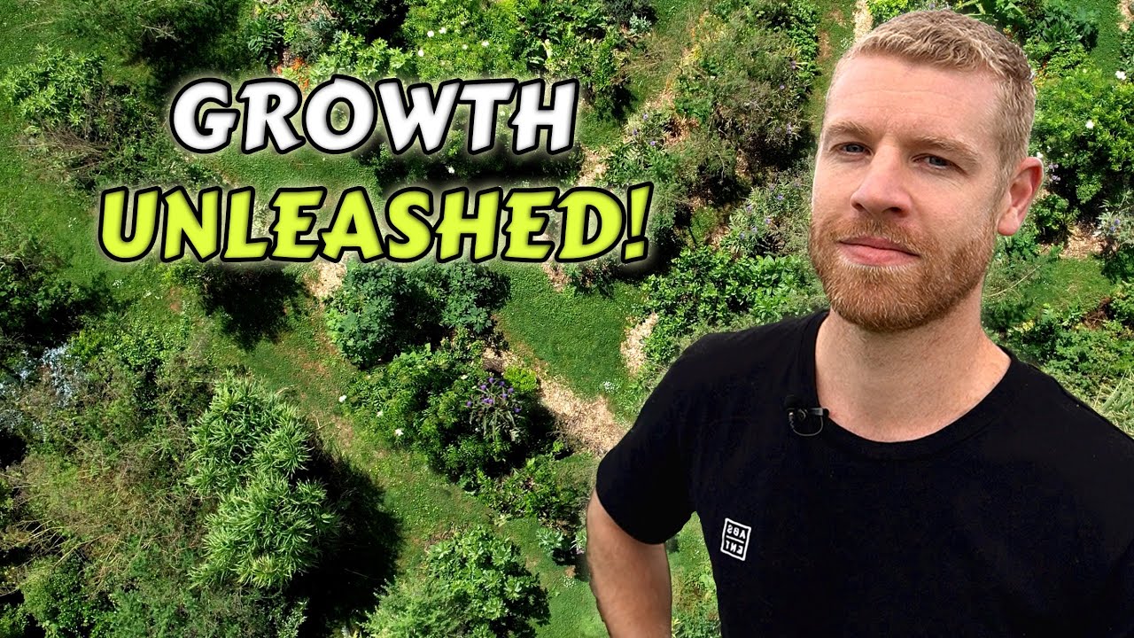 Inspiring Food Forest Tour - Turning a Grass Paddock into an Edible Oasis!