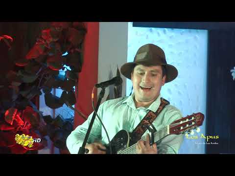 Los Apus del Perú / No me vuelvo a enamorar / concierto virtual 2020 / Tarpuy Producciones