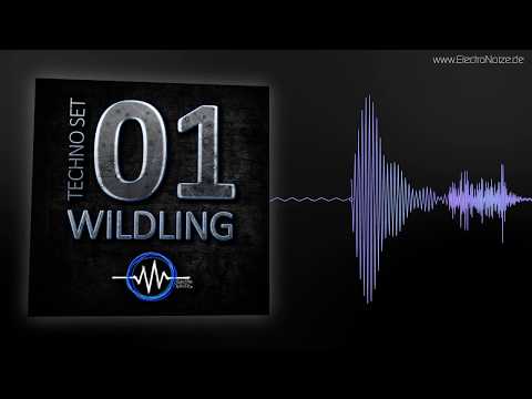 ElectroNoize® Techno Set 01 – WILDLING – Live @ MS Connexion Mannheim 13.07.2018