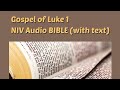 Luke 1: NIV Audio BIBLE (with text)
