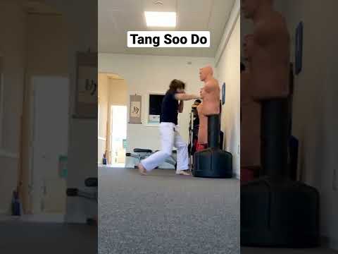 Tang Soo Do Striking