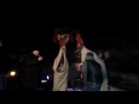 Repetitie caprele din Verseni