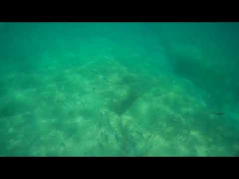 2020 0624 160010 006A