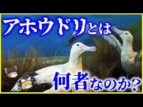 IUCN分類における絶滅の危険性を示す図。