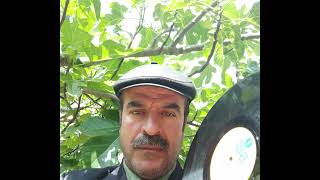 Thumbnail - Cin Metin - Yalancı Bahar (2023)