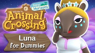 Luna and Dreaming for Dummies | Animal Crossing New Horizons