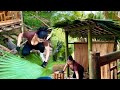 Girl Builds Bamboo Bathroom In The Middle Of A Deserted Island Survival Farm Ma Thi Hieu