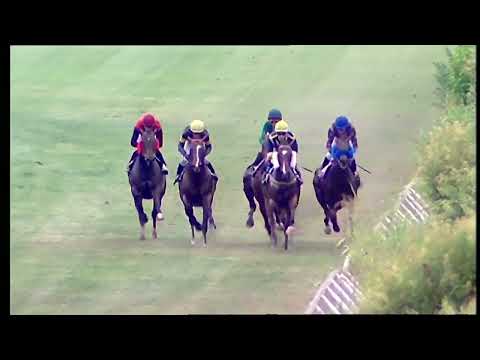 Napoli Galoppo 17/06/2022 - 1ª corsa