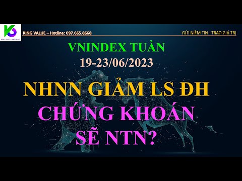 #393: Vnindex tuần 19-23/06/2023, Banco giảm lãi suất, chứng khoán ntn?