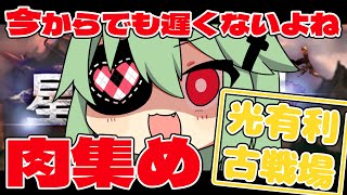 【グラブル】光有利古戦場！バブ召喚で肉集め！【小森ねね】