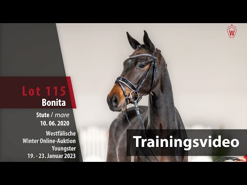 Winter Online-Auktion Training Lot 115 Bonita Stute v. Benicio - Van Vivaldi
