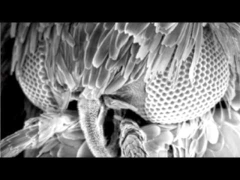 Concord Dawn & Rido - One and Only (Original Audio)