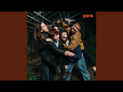 Bärenangriff - yara (Germany)