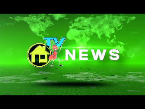 Casa de Insecticidas TV News - Nuestro noticiero