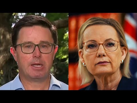 ‘No one was prepared to serve in a Sussan Ley ministry’: Littleproud unleashes on Libs