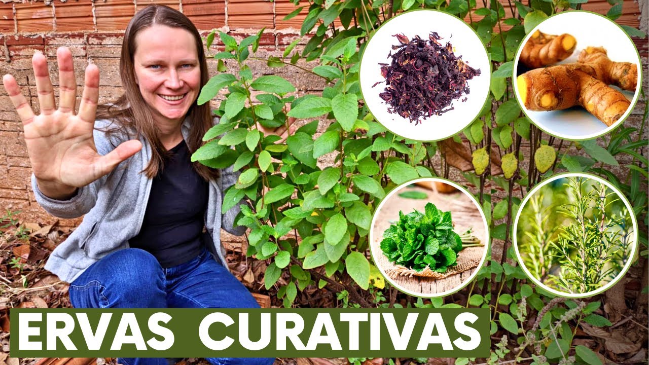 5 MEDICINAL and HEALING Plants You Should Have in Your Home🌱