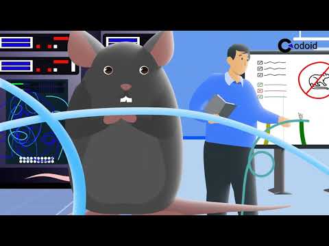 Codoid explainer video thumbnail