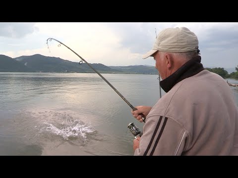 Pecanje šarana i babuške na Dunavu | Dubinsko pecanje šarana 3 | Fishing carp in river 2