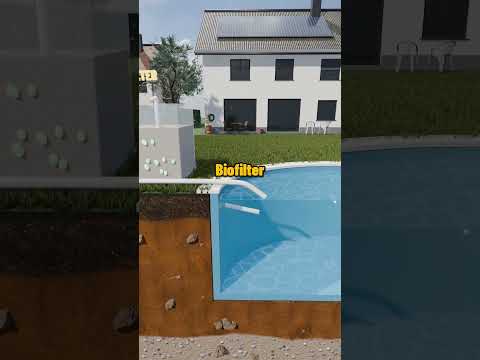 Wie ein Hai im Garten zum Aquarium wird 🦈