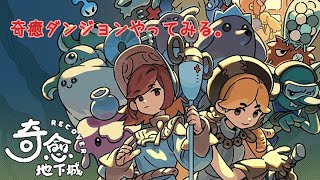 【ゲーム配信】奇癒ダンジョンをやります。