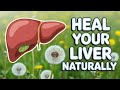 How To Support A Healthy Liver After 50 Simple Daily Tips