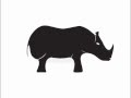 Transformation R To A Rhino