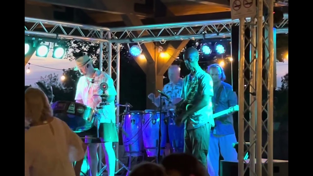 Promotional video thumbnail 30 for Lenny Frisch (GOOD VIBES BAND)