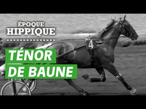 L'histoire de Ténor de Baune : une invincibilité inégalée | Époque Hippique | PMU