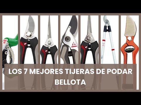 Tijeras de podar bellota: Los 7 mejores tijeras de podar bellota