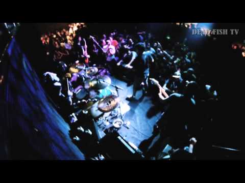 Lost Soul - Dead Fish