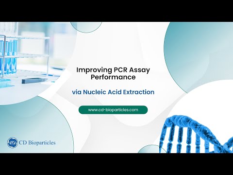 DNA & RNA Extraction Methods Explained | Spin Column vs Magnetic Beads | CD Bioparticles