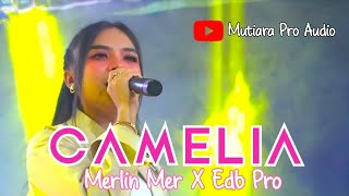 Download lagu CAMELIA - MERLIN MER X EDB PRO - TEH ITA STREET FOOD STALL mp3
