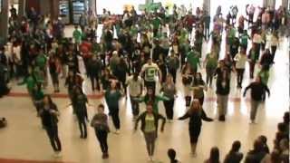 Download lagu Panorama Ridge 'Moves Like Jagger' Flash Mob 2012 mp3