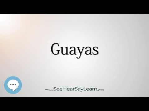 Guayas (How to Pronounce Cities of the World)💬⭐🌍✅