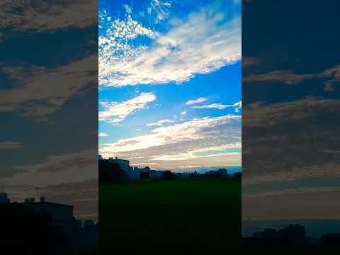 今天有不同樣的風景照