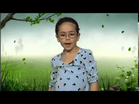 Faces from the Forest Theater