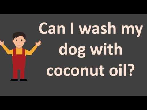 download lagu mp3 mp4 Where To Wash Your Dog, download lagu Where To Wash Your Dog gratis, unduh video klip Where To Wash Your Dog