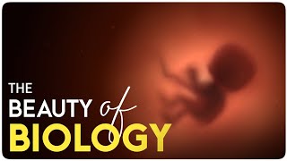 The Beauty of Biology | Biology Motivational Video