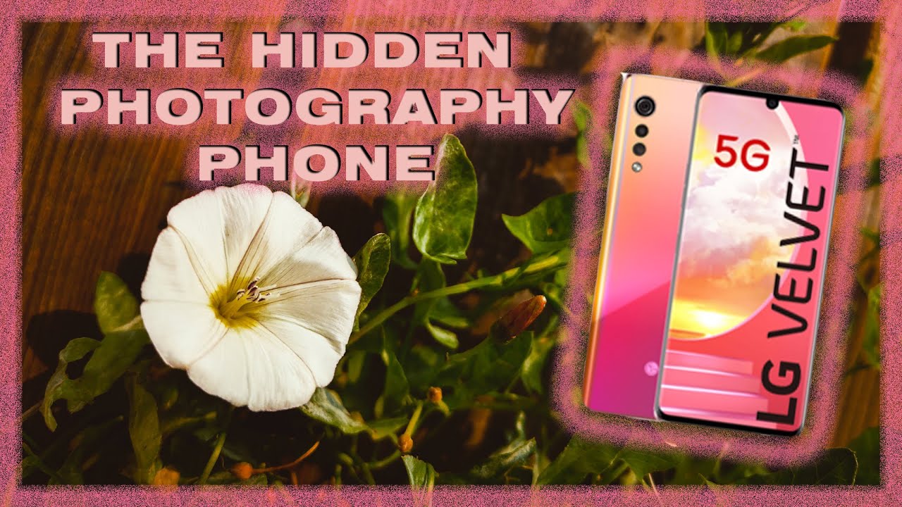 LG Velvet 5G - The Hidden Photography Phone!