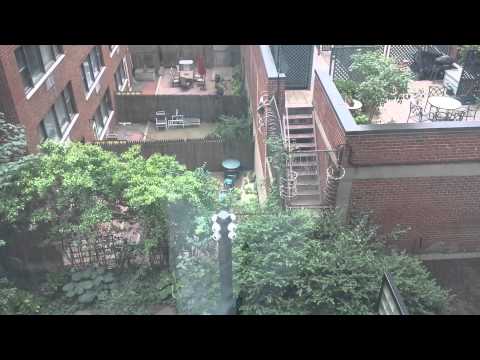 video 1