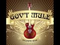 Gov't Mule- life before insanity