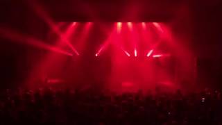 Twin Atlantic - Gold Elephant: Cherry Alligator - Selkirk -