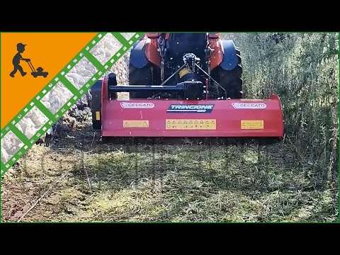 Funktionsvideo - Leichter Mulcher für Traktor Ceccato Trincione 290 - feste Aufnahme