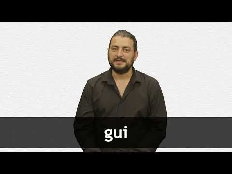 English Translation of “GUI” | Collins French-English Dictionary
