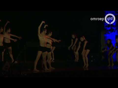 Canon van Nederland geopend in Openluchtmuseum